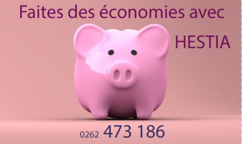 Obtennez des crédits d'impôt avec HESTIA entreprise d'aide au  ménage repassage jardinage pour particulier et professionnel à Saint-Denis réunion