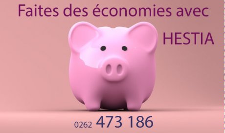 Obtennez des crédits d'impôt avec HESTIA entreprise d'aide au  ménage repassage jardinage pour particulier et professionnel à Saint-Denis réunion